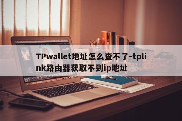 TPwallet地址怎么查不了-tplink路由器获取不到ip地址